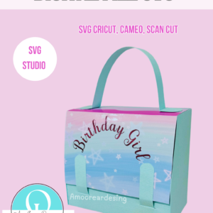 Birthday Bag / SVG / STUDIO / PDF / Cricut, Cameo, Scan cut Digital file / BIRTHDAY