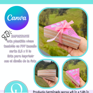 CAKE SLICE / PASTEL / PLANTILLA EDITABLE EN CANVA / DIGITAL FILE / FRESA CAKE